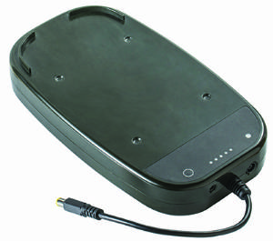 Transcend 365 P10 Battery